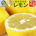 【ふるさと納税】 秀品　紀州有田産レモン　2.5kg【予約】※2025年3月上旬頃～3月下旬頃に順次発送予定(お届け日指定不可) レモン れもん 果物 柑橘