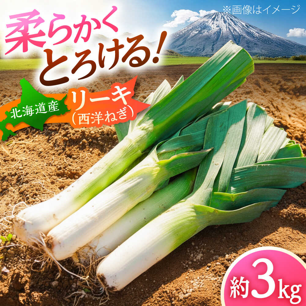 【ふるさと納税】リーキ 3kg | 野菜 ネギ ねぎ ポロネギ 西洋ねぎ リーキ | 道の駅 真狩フラワーセンター[BPAM045]