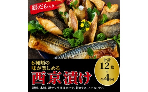 定期便 4ヵ月 西京漬け 6種 各2枚 (計12枚) セット ミックス盛・Jr 銀鱈 本鰆 銀サワラ又はホッケ 銀ヒラス メバル サバ 詰め合わせ 西京焼き 漬け魚 漬魚 西京味噌 西京味噌漬け