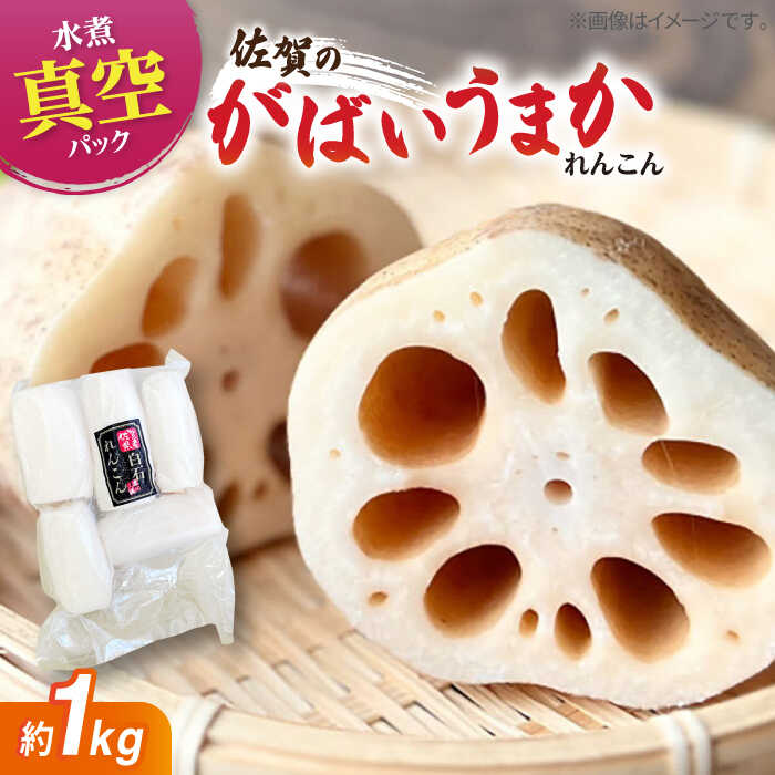 【ふるさと納税】 【お手軽調理！】 水煮れんこん 計1kg（真空パック）【有限会社白石開発】 蓮根 レンコン 野菜 根菜 小分け 真空 保存 佐賀県 白石町 [IBN005]