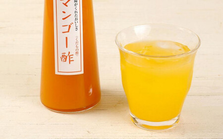 果物酢（マンゴー・ブルーベリー）セット【牛乳やソーダ割・ヨーグルトにかけて】　001-035