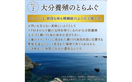 ふぐ 【冷蔵】とらふぐ刺身 4人前 