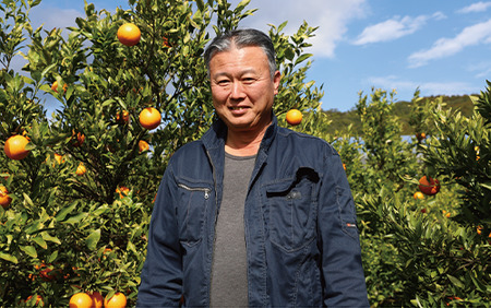 2026年2月上旬～発送 たんかん約5kg 迫田果樹園 A-164 鹿児島 開聞 たんかん みかん タンカン ミカン 指宿 フルーツ 果物 冬 旬 ご家庭用