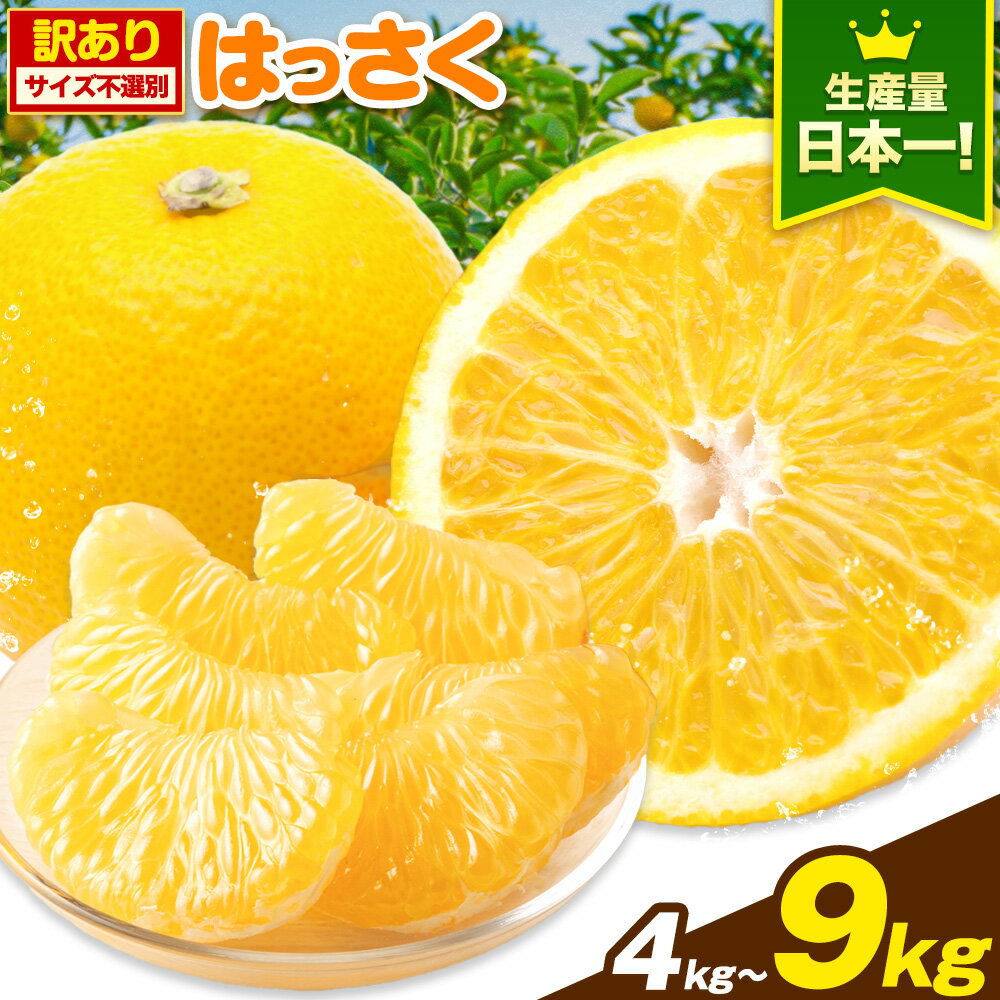 【ふるさと納税】【訳あり/ご家庭用】はっさく 選べる 約4kg 約9kg (4L~Sサイズ サイズ不選別) 早生・晩生指定不可《2月上旬-4月中旬に出荷予定(土日祝除く)》和歌山県 岩出市 産地直送 みかん 八朔 柑橘 果物 フルーツ ご家庭用 ビタミンC たっぷり