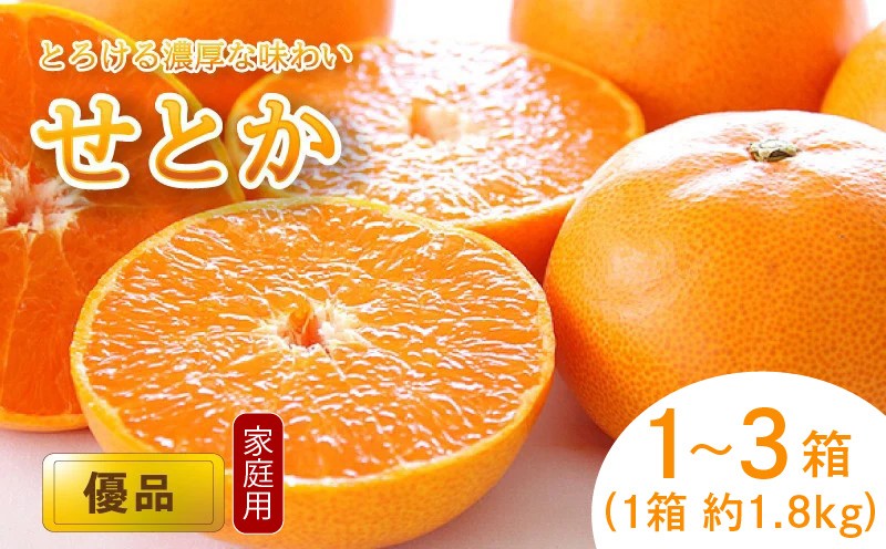 
                  【2027年2月中旬頃から順次発送】 せとか 家庭用(優品) 約1.8kg 3.6kg 5.4kg | みかん セトカ 優品 柑橘 愛媛県 松山市 松山市産せとか 柑橘の大トロ「せとか」 柑橘 みかん ミカン せとか 優品せとか ふるさと納税せとか 愛媛三大柑橘（ 紅まどんな せとか 甘平 ） 愛媛県松山市
                