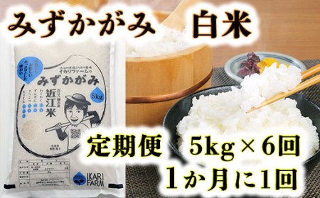 【新米】【7年産】 みずかがみ 白米 定期便 6か月 で 5kg を 6回 お届け ( 1か月 に 1回 ) 【C036U2】 近江米 みずかがみ