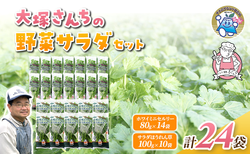 ホワイトミニセルリー 14袋 ＆ サラダほうれん草 10袋 計24袋セット 野菜 詰め合わせ セロリ ミニセロリ ほうれんそう 新鮮 産地直送 野菜セット 食べ比べ 詰合せ 大容量 業務用 まとめ買い