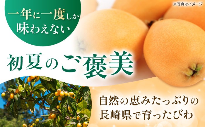 びわ ビワ 枇杷 果物 フルーツ なつたより ナツタヨリ ハウス 果実 長崎県産 国産