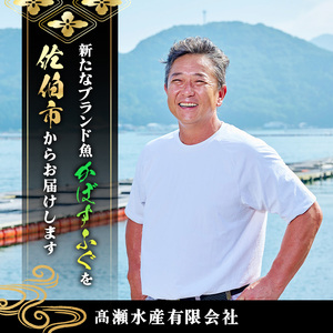 ＜先行予約受付中！2026年11月より発送開始予定＞かぼすふぐセット(2-3人前)ふぐ フグ あら アラ 鍋用 刺身 皮 ひれ 薬味付き カボス【GP007】【高瀬水産】