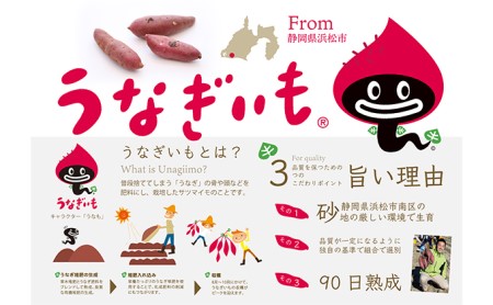 【2025年10月より順次発送】うなぎいも 5kg【配送不可：北海道】さつまいも 熟成 糖度が高い 贈答品 野菜 イモ 
