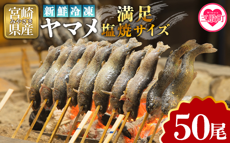 ＜新鮮冷凍ヤマメ 50尾＞ 国産 九州産 尺ヤマメ 山女魚 水産物 魚 魚介 川魚 養殖魚 塩焼き バーベキュー BBQ【MI773-sk】【有限会社しゃくなげの森】 約100g×50尾
