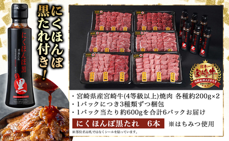 【数量限定】宮崎牛9種盛り焼肉セット(各600g×6P)≪みやこんじょ特急便≫_MC-3101-Q_(都城市) 宮崎牛 ラムシン マルシン イチボ サーロイン ザブトン 肩ロース ショートリブ カルビ