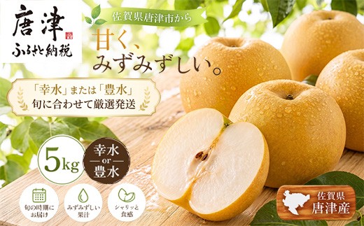 
                  『先行予約』【令和8年7月上旬より順次発送】唐津産 梨 5kg【旬の味覚】果物 フルーツ 幸水 豊水
                
