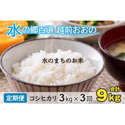 ふるさと納税 大野市 【令和7年産】【3ヶ月定期便】こしひかり 3kg×3回 計9kg【白米】「エコファーマー米」