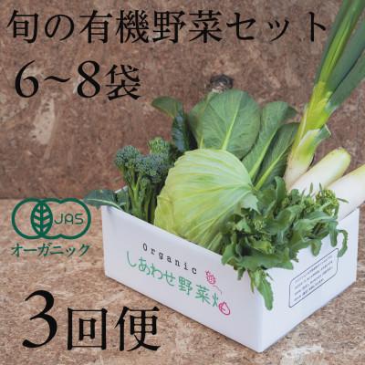 ふるさと納税 掛川市 【毎月定期便】しあわせ野菜畑の有機野菜　Sセット　(安心の有機JAS認証　オーガニック野菜)全3回