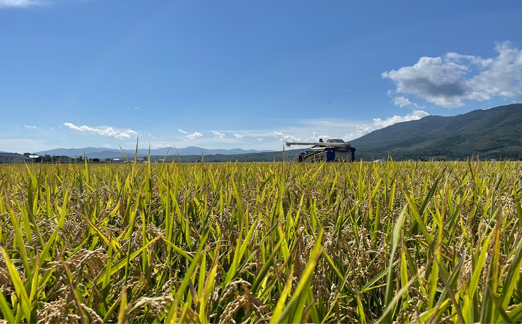 【令和7年産】北海道蘭越産ななつぼし5kg