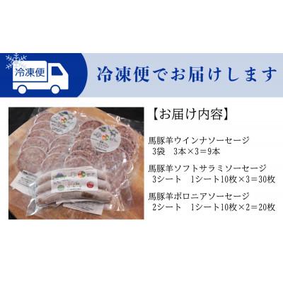 ふるさと納税 大月市 【バトンラム(馬豚羊)】ソフトサラミソーセージ・ボロニアサラミソーセージ・ウインナーソーセージ |  | 03