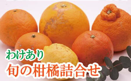 家庭用 柑橘詰合せ1.5kg+45g（傷み補償分）【訳あり・わけあり】【有田の春みかん詰め合わせ・フルーツ詰め合せ・オレンジつめあわせ】【光センサー選別】【ikd184A】