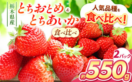 【チョイス限定】【先行予約】とちあいか・とちおとめ食べ比べ 約550g（2P） | いちご とちあいか とちおとめ 大粒 新鮮 甘い 食べ比べ 数量 限定 美味しい 果物 共通返礼品 フルーツ デザート 栃木県 那珂川町 送料無料