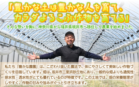 【先行予約】 安心安全！減農薬！こだわり農法で育てた ユウカメロン 2玉 (1玉あたり：1.5kg以上) 【2026年6月中旬以降順次発送予定】 【メロン めろん フルーツ デザート 果物 くだもの 