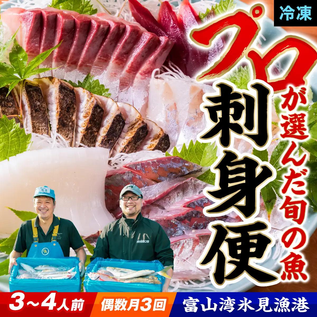 【偶数月 全3回 定期便】氷見漁港 海鮮刺身セット | 詰め合わせ 冷凍 刺身