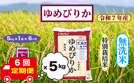 【定期便6回】北海道奈井江町　特別栽培米　ゆめぴりか　5kg【無洗米】