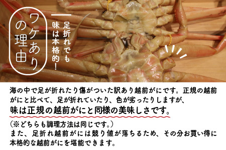【先行予約】訳あり≪茹で≫越前セイコ蟹(中・小) 10杯【2025年11月発送分】 [K-1601_11]