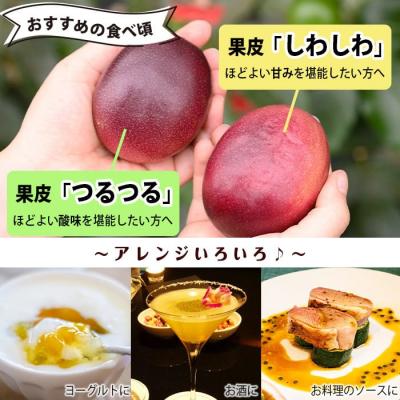 ふるさと納税 肝付町 《先行受付》鹿児島県産 パッションフルーツ (約2.2kg・12玉入り2箱)　A68002 |  | 02