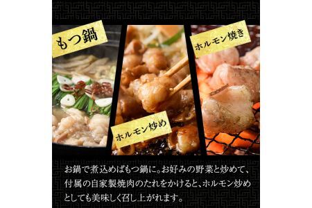 博多和牛もつ鍋用ホルモン 自家製焼肉のたれ付(500g) 牛肉 和牛 博多和牛 国産 ホルモン もつ モツ もつ鍋 ＜離島配送不可＞【ksg1291】【くしだ企画】