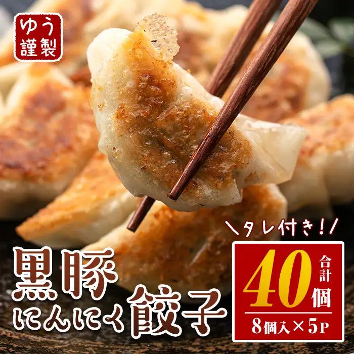 手づくり黒豚にんにく餃子 計50個(10個入り×5P) 特製餃子のタレ付き！