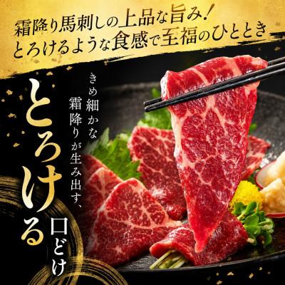 ふるさと納税 玉名市 熊本国産　特選霜降り　馬刺しブロック 100g　専用タレ付(玉名市) |  | 01