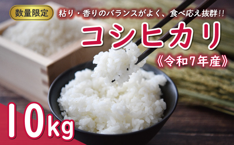
            先行予約 新米 令和7年産 コシヒカリ 10kg 24000円 お米 白米 精米 米 こめ 産地直送 国産 農家直送 期間限定 数量限定 特産品 先行 事前 受付 令和7年度産 2025年産 もっちり 粘り 甘み おいしい おにぎり こしひかり 内祝い お祝い 贈答品 お返し プレゼント ギフト 土産 御礼 お礼 お取り寄せ 田中均 愛南町 愛媛県
          