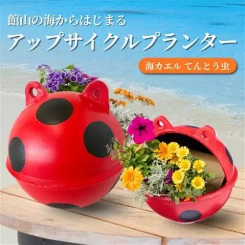 アップサイクルプランター　海カエルてんとう虫(1個)【1681045】
