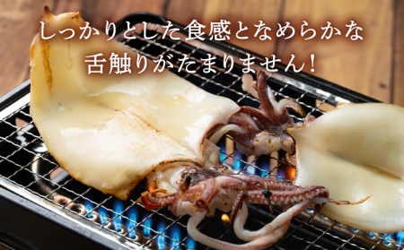 剣先イカ刺身セット1kg [WAD015] 剣先イカ 烏賊 刺身 お造り おつまみ ゲソ揚げ バター焼き 冷凍 大容量 ケンサキイカ いか  コダワリイカ・いか こだわりイカ・いか おすすめイカ・いか