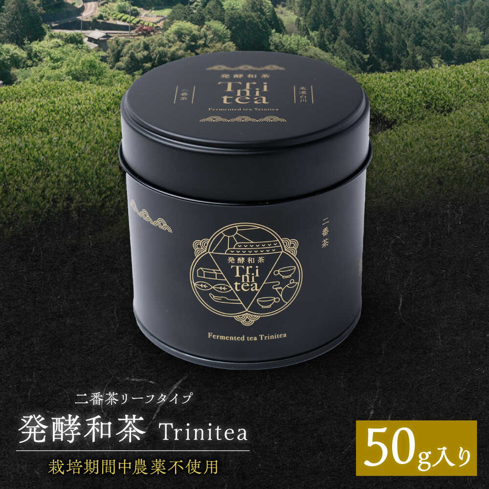 【ふるさと納税】発酵和茶 Trinitea 二番茶リーフタイプ 50g 和紅茶 紅茶 茶葉 リーフ ギフト 白川町 / ヨリスグリ[AWBV003]