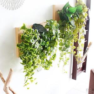 Botanical c.class 09　ナチュラル