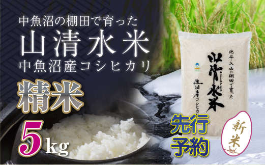 
            【新米先行受付】新潟県魚沼産コシヒカリ「山清水米」精米5kg
          