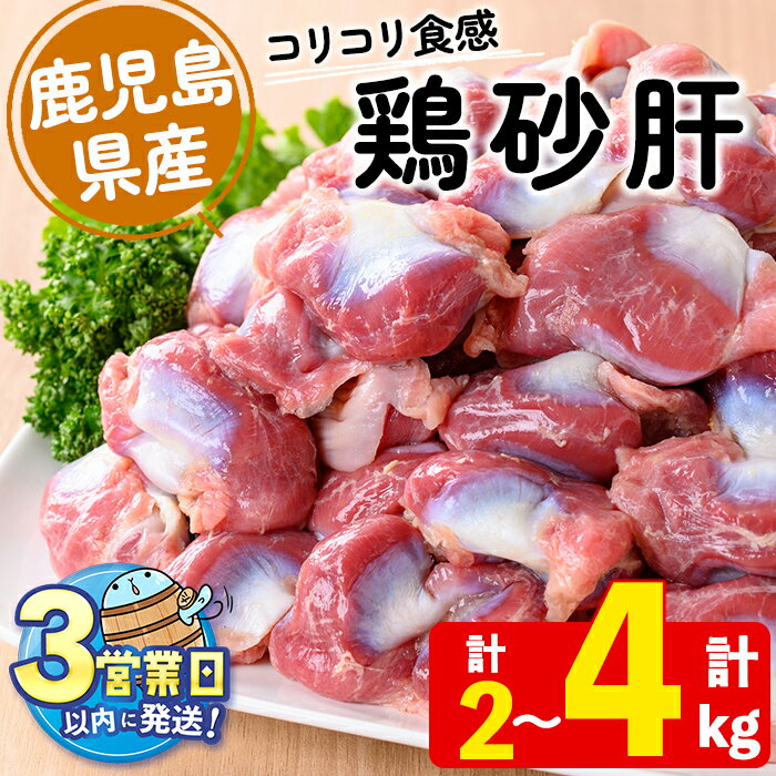【ふるさと納税】＜すぐ届く！＞【容量が選べる！】鹿児島県産鶏砂肝(計2kg or 4kg) 肉 鶏肉 砂肝 砂ズリ 砂ずり 骨なし 唐揚げ から揚げ 焼鳥 炒め物 塩焼き BBQ 国産 九州産 冷凍【宮下商店】