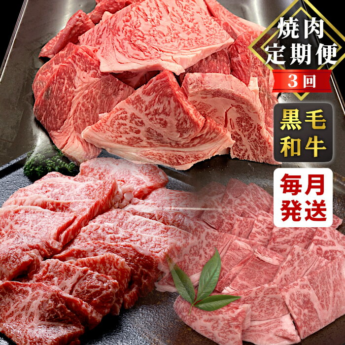 【ふるさと納税】焼き肉づくし★国産黒毛和牛 焼肉定期便 切り落とし リブロース カタロース モモ バラ 焼肉 定期便 BBQ バーベキュー 長野県 根羽村 根羽こだわり和牛 肉 牛肉 和牛 黒毛和牛 霜降り 赤身 30000円 30,000円 3万円