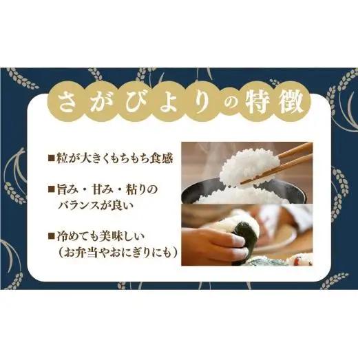 [令和7年産] ＜定期便12回＞  さがびより 白米 5kg×12回