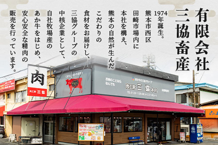 【 年内お届け 】熊本県産 あか牛 ロース ステーキ【 200g×2枚 合計400g 】※12/18-28発送※  熊本県産 赤身 褐毛和種 国産 和牛 牛肉 肉 ステーキ ご馳走 046-0458-