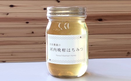 河内晩柑 はちみつ 蜂蜜 500g 国産 純粋 蜂蜜 はちみつ 河内晩柑 ギフト 1kg 以下 晩柑 蜂蜜 はちみつ 河内晩柑 柑橘 蜂蜜 はちみつ みかん 瓶詰め おいしい 吉田農園 蜂蜜 はちみつ 河内晩柑 愛媛県 愛南町 【発送時期：2025年5月～】