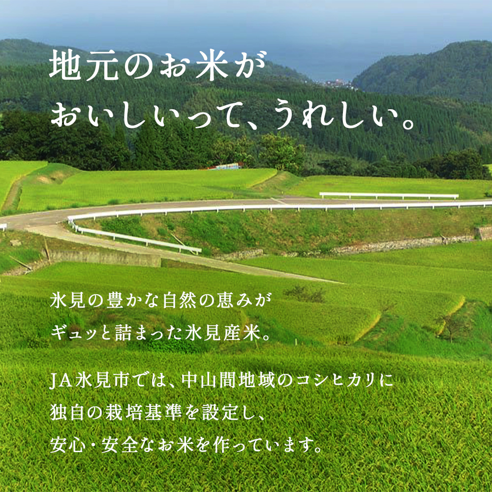 【玄米】令和7年産富山県産コシヒカリ《こめ自慢》30kg 富山県 氷見市 こしひかり 30kg 特別栽培米 玄米