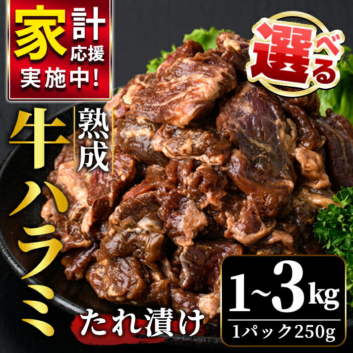 【ふるさと納税】＜選べる＞ 熟成 牛 ハラミ 1kg 2kg 3kg 味付け 味付け肉 小分け 冷凍 焼肉 焼き肉 牛 牛肉 肉 お肉 ビーフ お取り寄せ ご家庭用 おうちご飯に ご自宅用 茨城県 【そうざい男しゃく（株式会社池延）】 【ho1468-1】【ho1469】【ho1470】