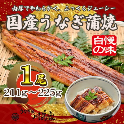 【ふるさと納税】【冷凍1尾】岬町自慢の味　うなぎの川島家　国産うなぎ蒲焼　大サイズ(211g～225g)特製タレ付き【配送不可地域：離島】【1488339】