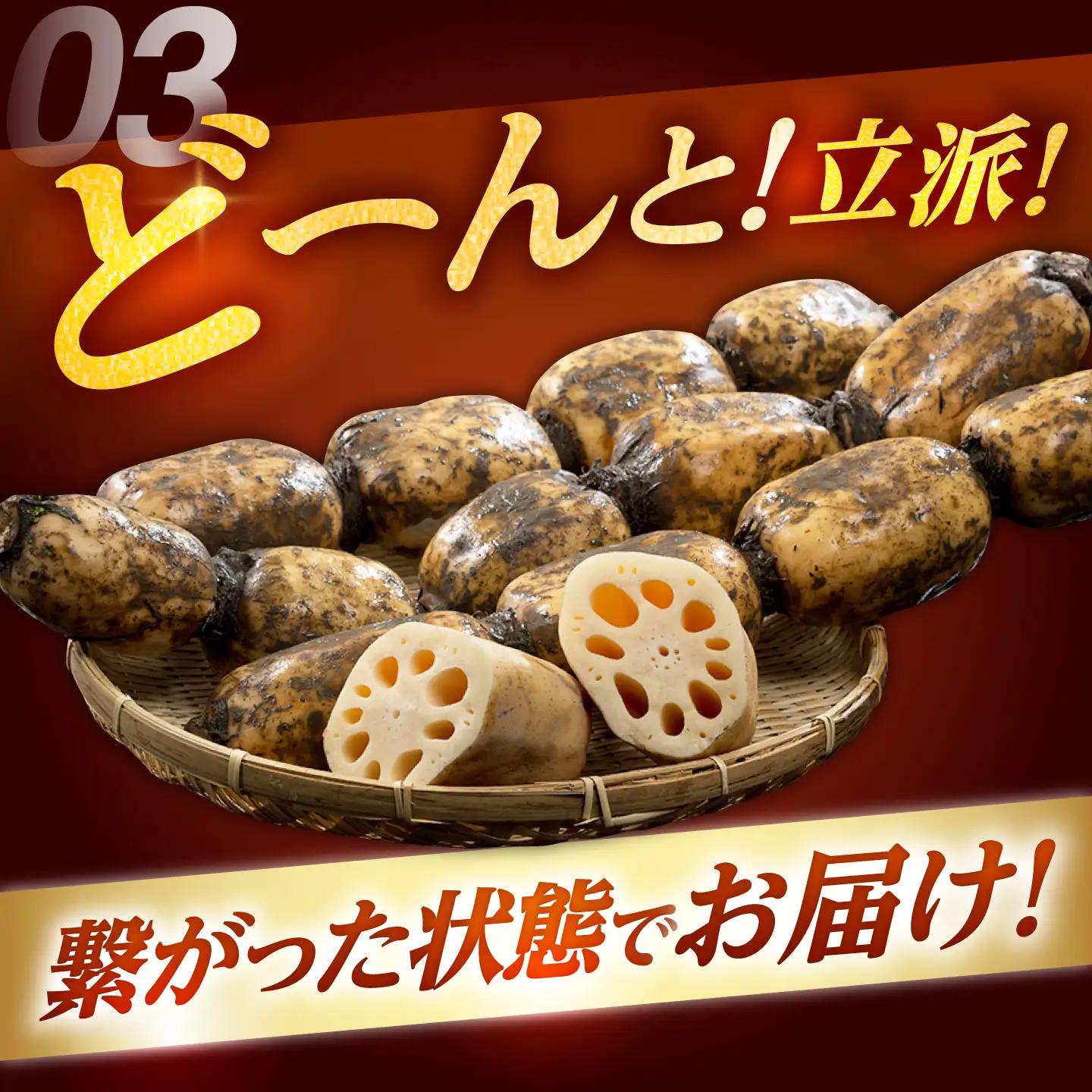 【先行予約 2026年10月～発送】白石町産 泥付きれんこん （4kg） / れんこん [IAK015]