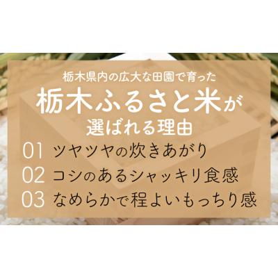 ふるさと納税 野木町 【12ヶ月定期便】栃木ふるさと米 白米 5kg 栃木県 野木町《翌月から出荷》【栃木県共通返礼品】 |  | 01