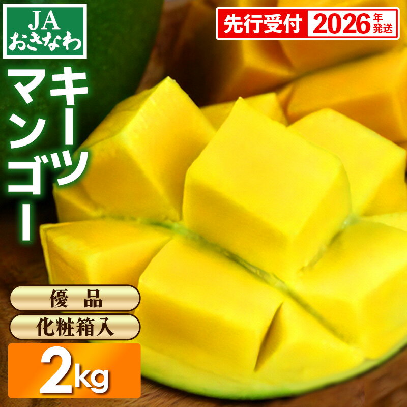 【ふるさと納税】【化粧箱入】【先行受付・2026年発送】JAおきなわの産直キーツマンゴー 約2kg【優品】- 先行予約 沖縄 産地直送 季節の果物 旬の味覚 贈り物 ギフト プレゼント 沖縄県 八重瀬町