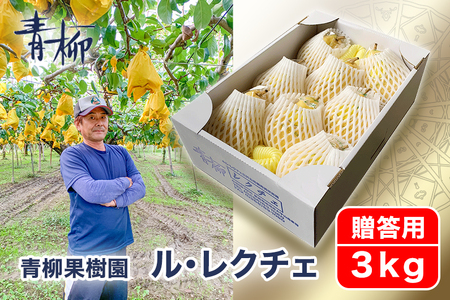 【2026年先行予約】新潟特産 幻の洋梨ル・レクチェ 贈答用 3kg（7～9玉）《11月下旬～順次発送》