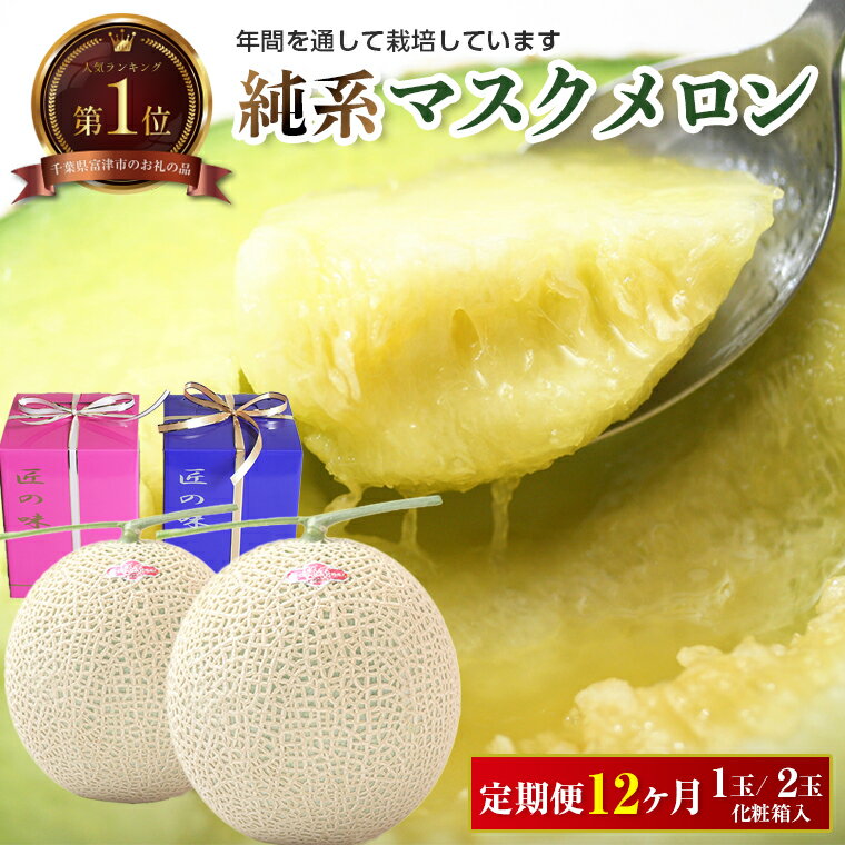 【ふるさと納税】メロン マスクメロン フルーツ 果物 1玉 2玉 定期便 12ヶ月 1年間 毎月 12回 計24玉 おすすめ 最高級 優 国産 化粧箱 青肉 期間限定 数量限定 先行受付 先行予約 リピーター リピート 純系マスクメロン 送料無料 モリタ農園 2026年1月～発送